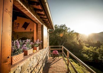 Rustico Chianni - foto 49