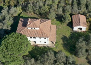 Rustico Palaia - foto 2