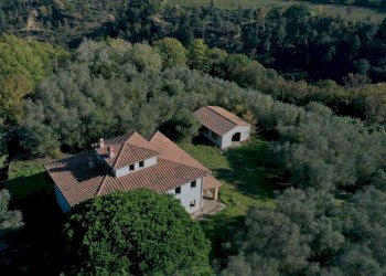 Rustico Palaia - foto 3