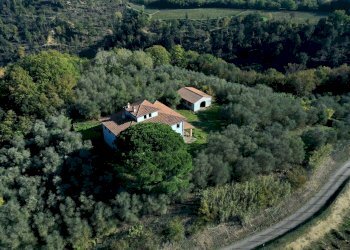 Rustico Palaia - foto 4