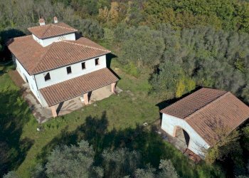 Rustico Palaia - foto 7