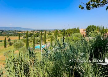 Trilocale Via Bassa, Castiglione del Lago - foto 7