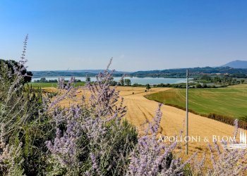 Trilocale Via Bassa, Castiglione del Lago - foto 9