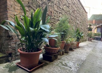 Appartamento Piazza San Michele Arcangelo, 5, Cetona - foto 25