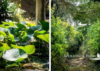 Villa Unifamiliare Via due Giugno, 21, Cetona - foto 40