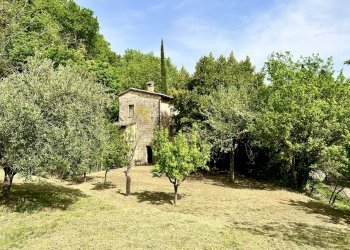 Villa Unifamiliare Piazza Giuseppe Garibaldi, 25, Cetona - foto 2