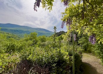 Villa Unifamiliare Piazza Giuseppe Garibaldi, 25, Cetona - foto 5