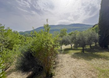 Villa Unifamiliare Piazza Giuseppe Garibaldi, 25, Cetona - foto 36