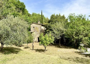 Villa Unifamiliare Piazza Giuseppe Garibaldi, 25, Cetona - foto 6