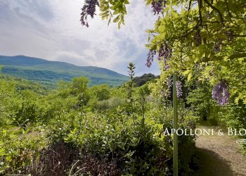 Villa Unifamiliare Piazza Giuseppe Garibaldi, 25, Cetona - foto 39