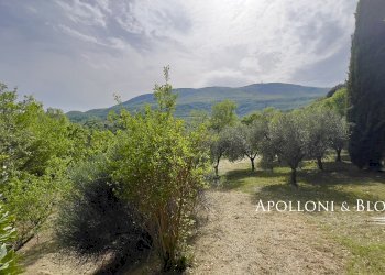 Villa Unifamiliare Piazza Giuseppe Garibaldi, 25, Cetona - foto 40