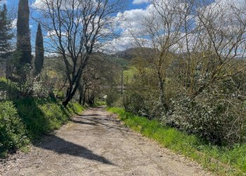 Rustic Chiusi - photo 10