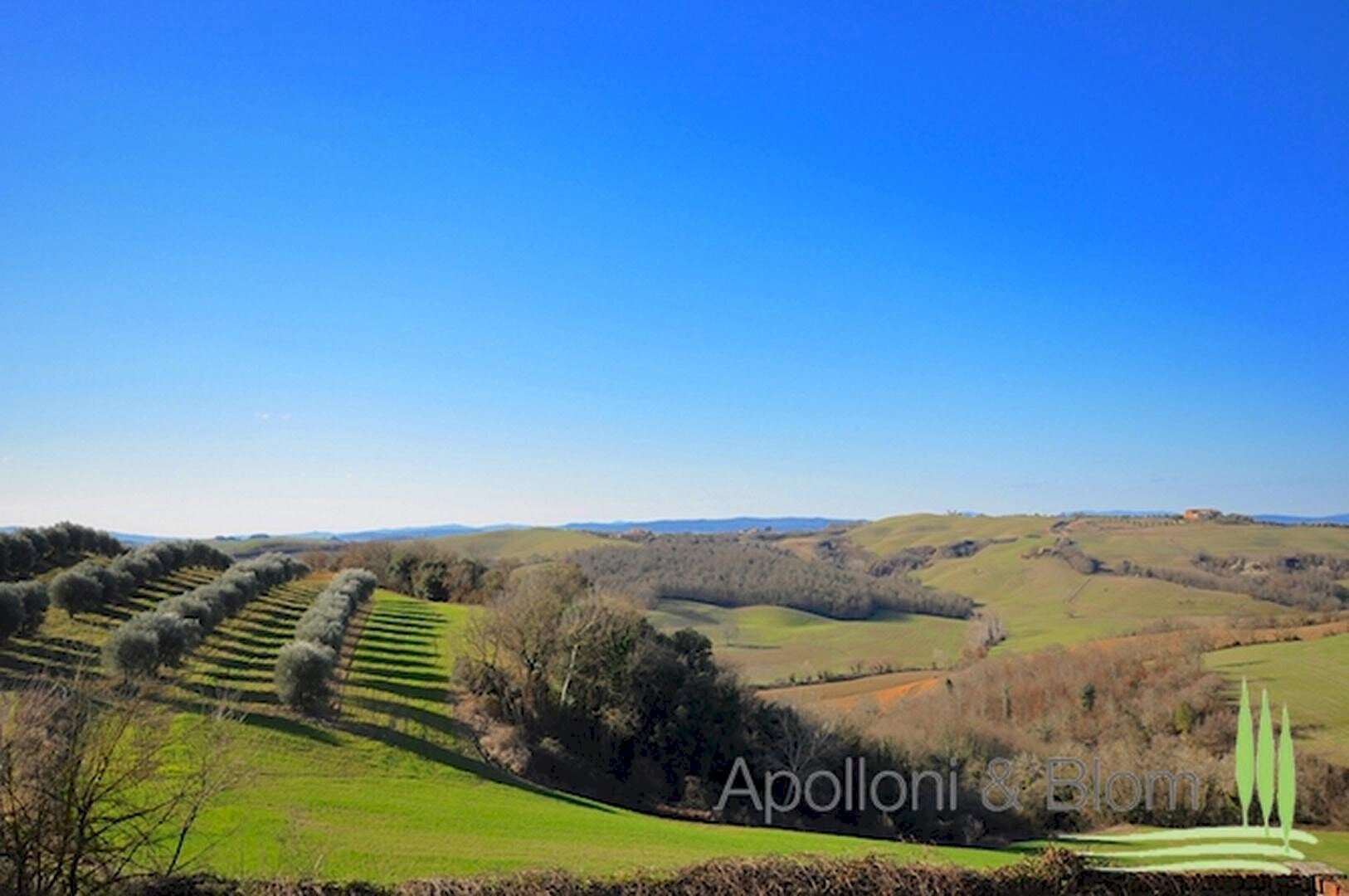 Rustic Via Barna, 31, Asciano - photo 2