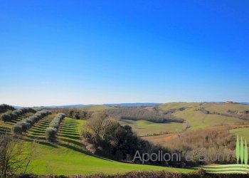 Rustico Via Barna, 31, Asciano - foto 2