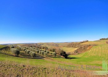 Rustico Via Barna, 31, Asciano - foto 6