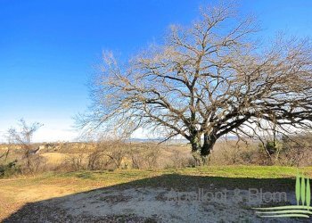 Rustico Via Barna, 31, Asciano - foto 8