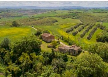 Rustico Via Barna, 31, Asciano - foto 14