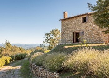 Rustico Strada Provinciale Cetona Piazze, 21, Cetona - foto 5