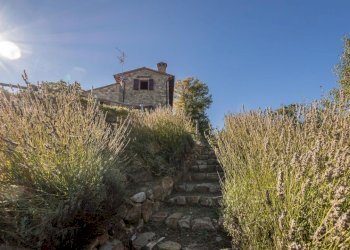 Rustico Strada Provinciale Cetona Piazze, 21, Cetona - foto 19