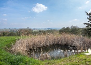Rustico Via di Torrita, 15, Montepulciano - foto 29
