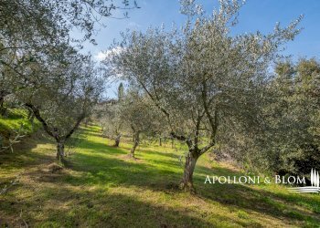 Rustico Via di Torrita, 15, Montepulciano - foto 34