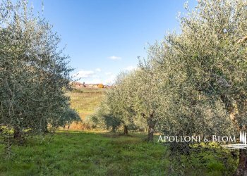 Villa Unifamiliare Via degli Archi, 5, Montepulciano - foto 34