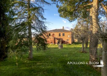 Rustic Montepulciano - photo 4