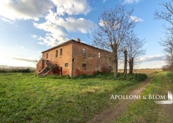 Rustic Montepulciano - photo 9