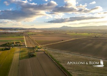 Rustic Montepulciano - photo 10