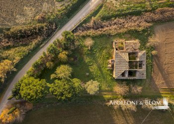 Rustic Montepulciano - photo 11