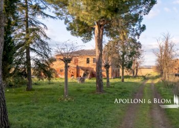 Rustico Via del Lago, Montepulciano - foto 6