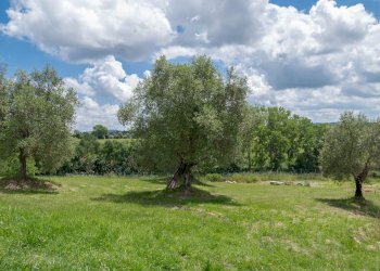 Trilocale Passeggio Giuseppe Garibaldi, 65, Torrita di Siena - foto 17