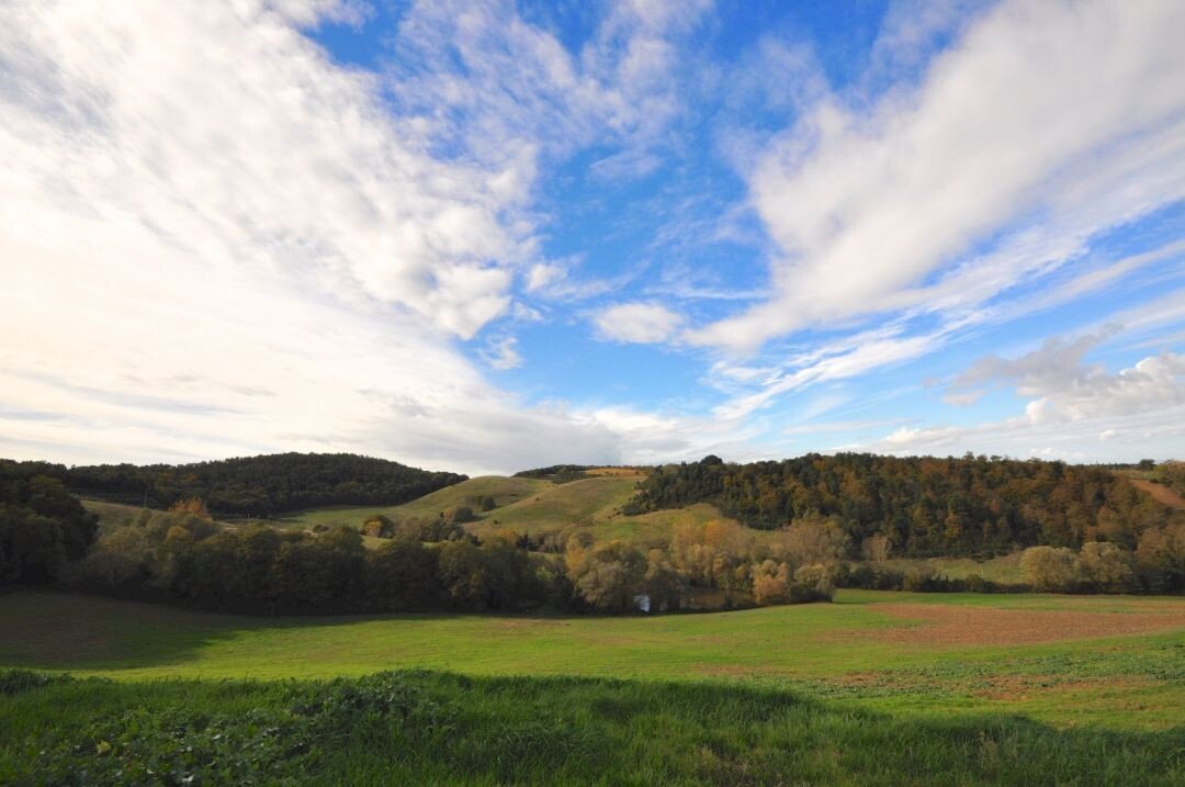 Rustico Via Emoriccia, 251, Sinalunga - foto 2