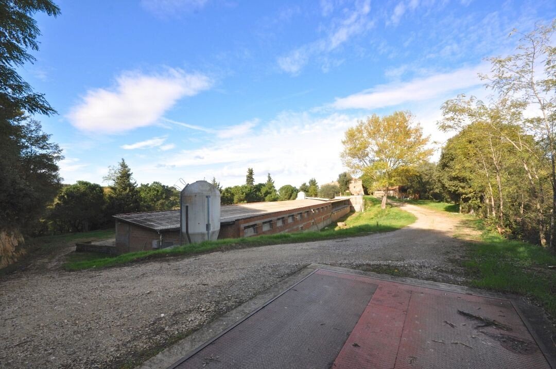 Rustico Via Emoriccia, 251, Sinalunga - foto 3