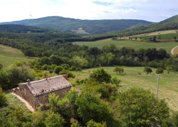 Rustic Montepulciano - photo 7