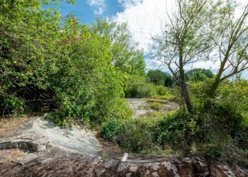 Rustic Montepulciano - photo 24