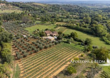 Rustico Via di Nibbiano, 7, Montepulciano - foto 16