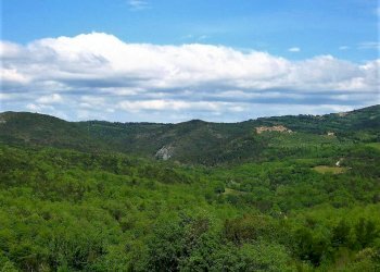 Rustico Murlo - foto 28