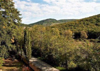 Rustico Murlo - foto 30