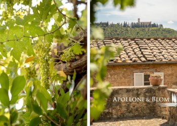 Villa Unifamiliare Trequanda, Trequanda - foto 27