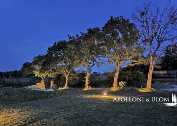 Rustico Castiglione d'Orcia - foto 14