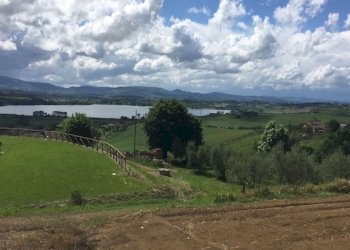 Rustico Via del Progresso, 23, Castiglione del Lago - foto 2