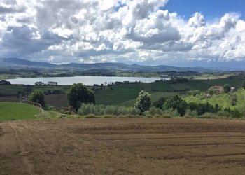 Rustico Via del Progresso, 23, Castiglione del Lago - foto 3