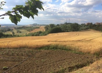 Rustico Via del Progresso, 23, Castiglione del Lago - foto 5