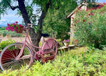 Rustico Via Pietro Vannucci, 22, Città della Pieve - foto 7