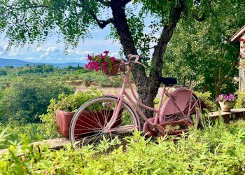 Rustico Via Pietro Vannucci, 22, Città della Pieve - foto 27