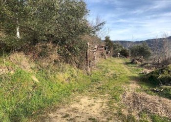 Rustico Case Sparse, 11, Cortona - foto 18