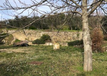 Rustico Case Sparse, 11, Cortona - foto 19