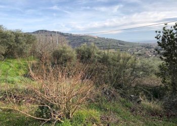 Rustico Case Sparse, 11, Cortona - foto 20