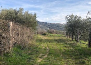 Rustico Case Sparse, 11, Cortona - foto 22